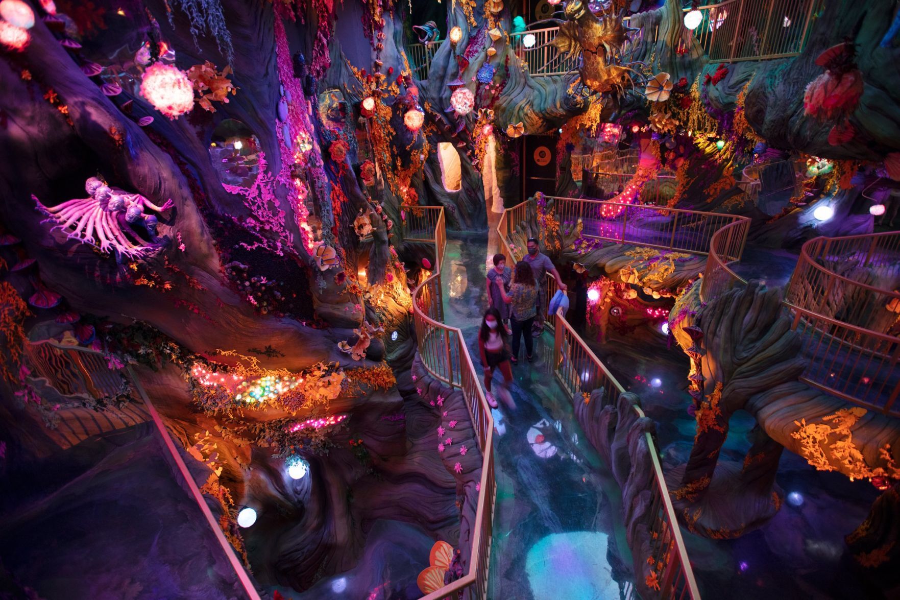 Denver Meow Wolf